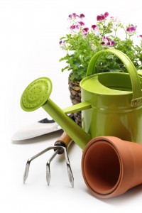 , Patience: Giving Your Retirement Plan Time To Grow