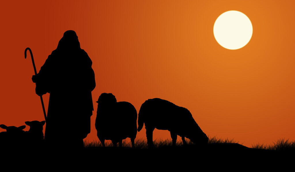 Shepherds and Life Insurance