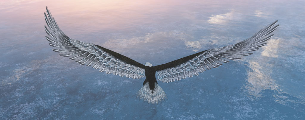 Soar Like an Eagle