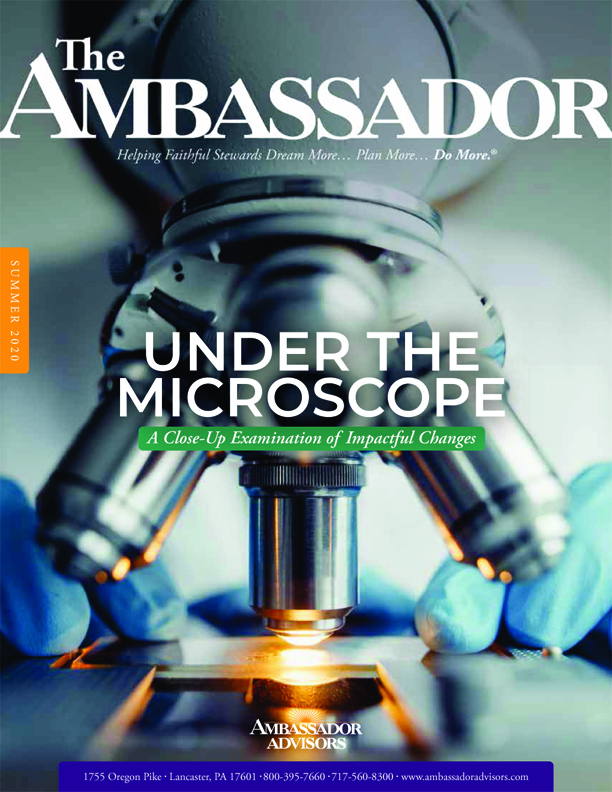 Summer 2020 – Under the Microscope