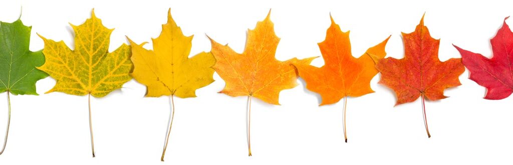 As Fall Approaches
