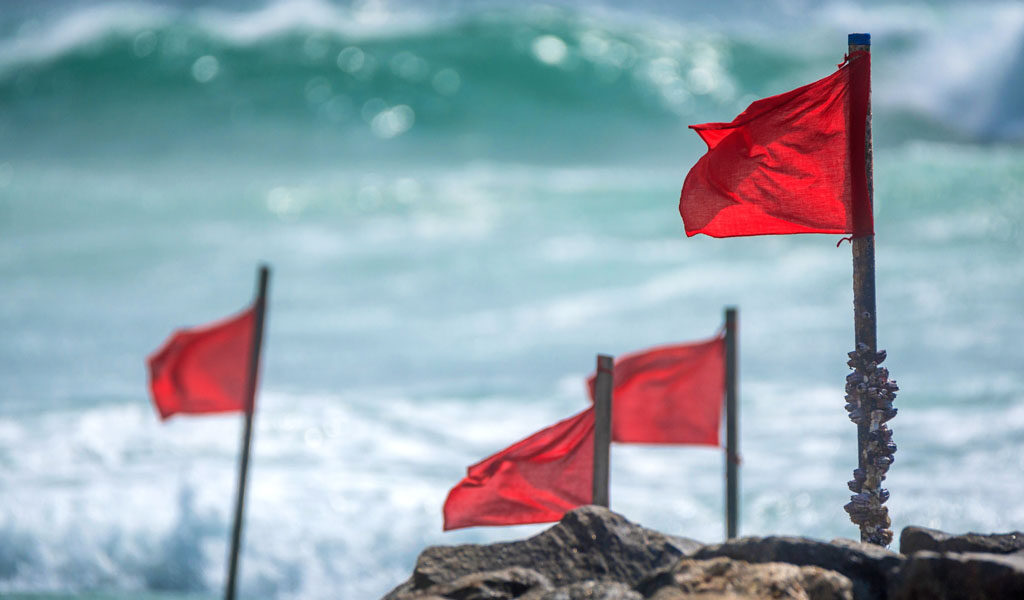 Warning Flags?