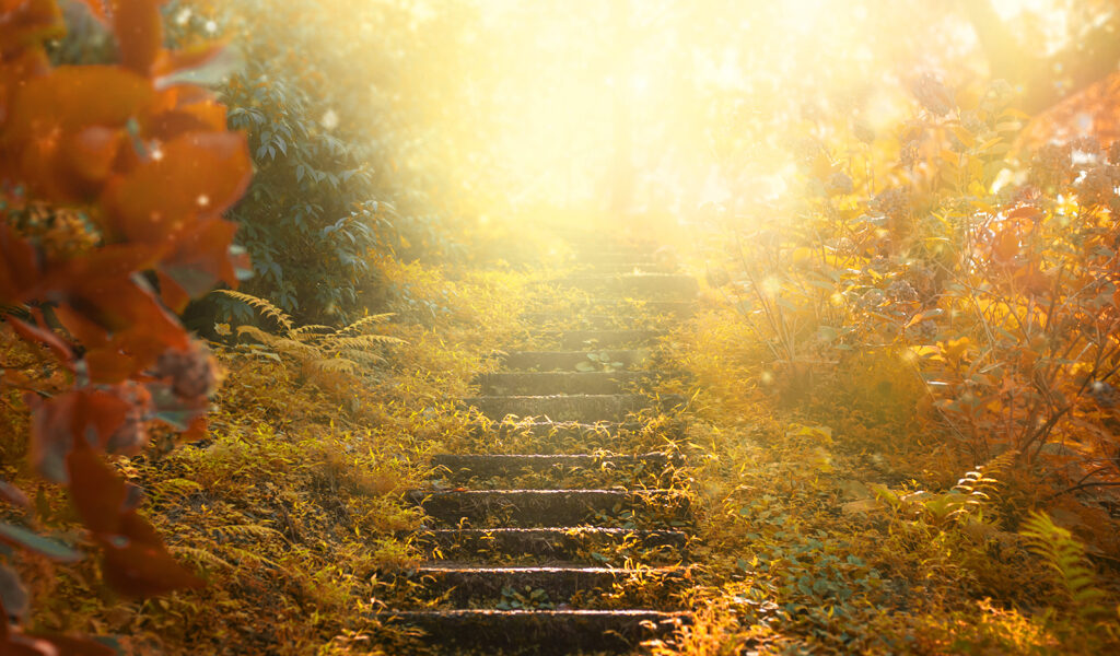 A Light to Our Path