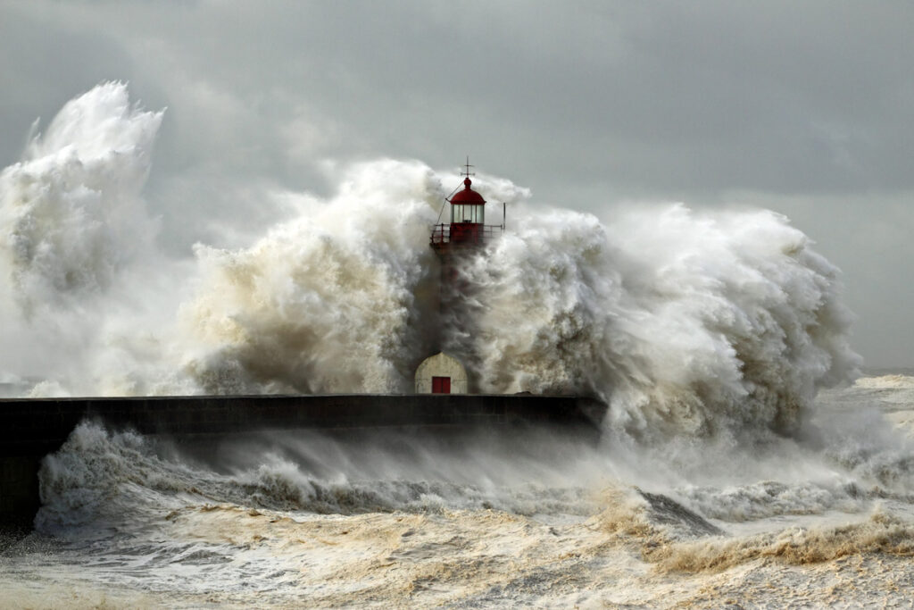 Tossed by the Wind